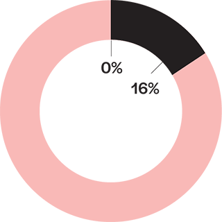 Chart: Black population received almost zero funding in Chicago.